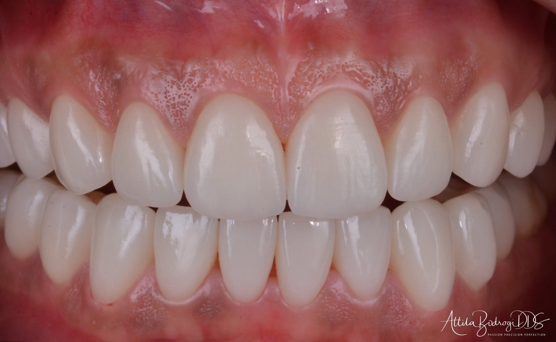 Bodrogi Specialitások