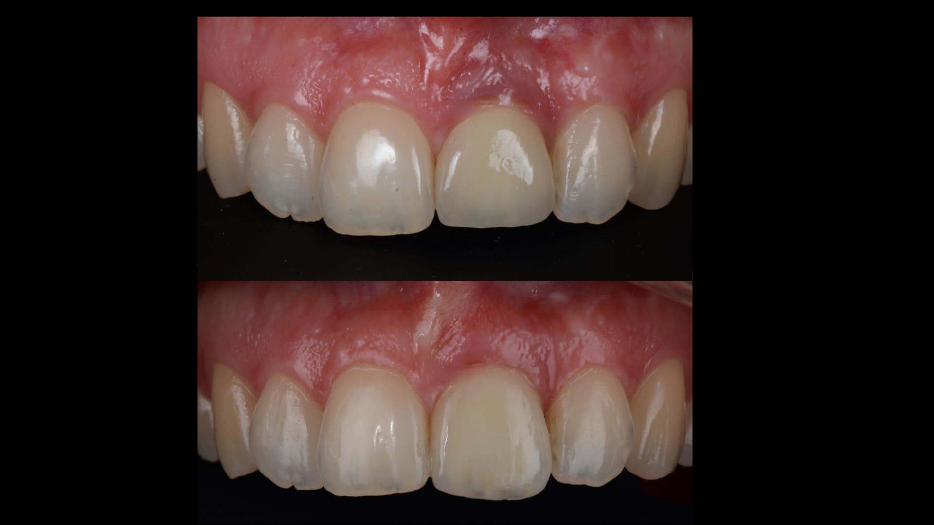 Bodrogi Specialitások